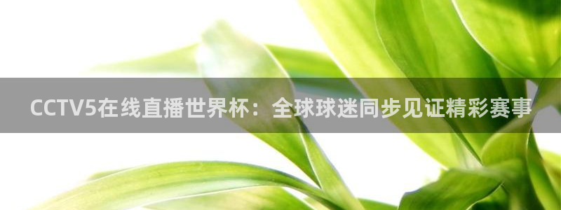 世界杯欧洲区世预赛赛程:CCTV5在线直播世界杯:全球球迷同步见证精彩赛事