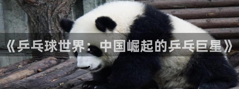 足球世界杯2026:《乒乓球世界:中国崛起的乒乓巨星》