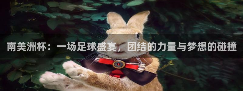 2026年世界杯:南美洲杯:一场足球盛宴,团结的力量与梦想的碰撞