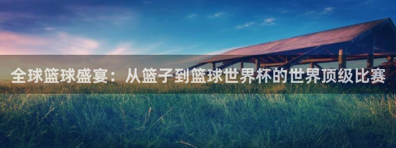 2006世界杯:全球篮球盛宴:从篮子到篮球世界杯的世界顶级比赛