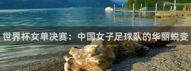 2006年世界杯冠军:世界杯女单决赛:中国女子足球队的华丽蜕变