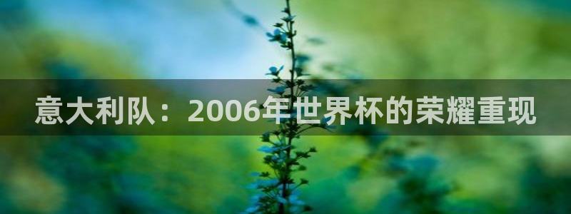 世界杯欧洲区赛程:意大利队:2006年世界杯的荣耀重现