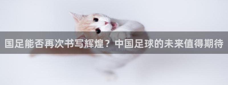 世界杯预选赛欧洲:国足能否再次书写辉煌?中国足球的未来值得期待